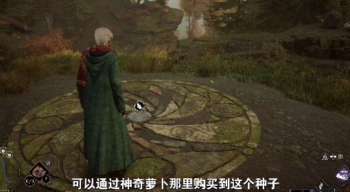 《霍格沃茨之遗》开局实用教程 背包扩容与飞行扫把解锁方法