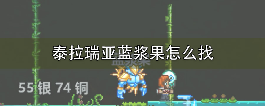 泰拉瑞亚蓝浆果怎么找