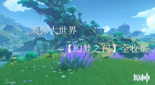《原神》幻梦之门所有位置 原神幻梦之门怎么开