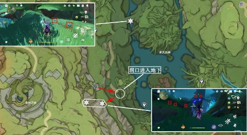 《原神》3.3版突破素材树王圣体菇收集路线