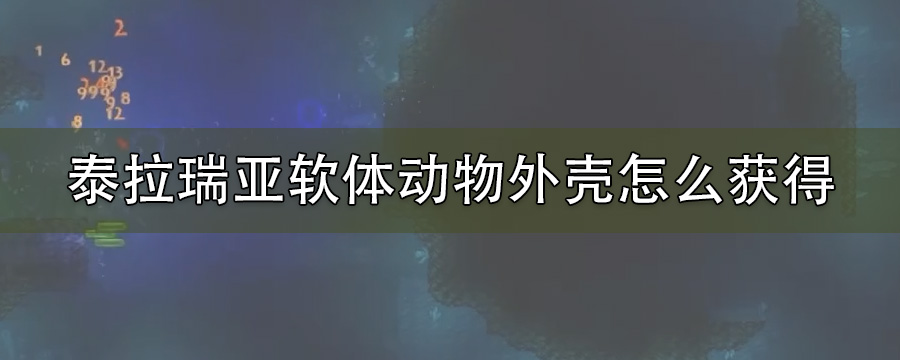 泰拉瑞亚软体动物外壳怎么获得