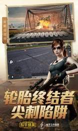 白虎直装防封版1