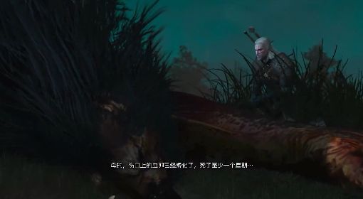 《巫师3》次世代版中配支线任务视频合集