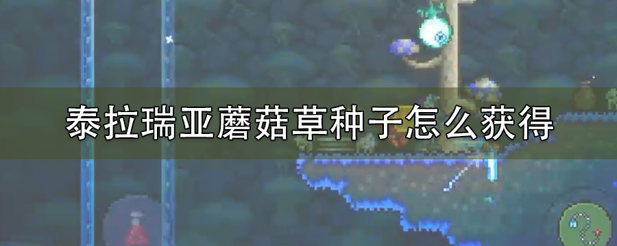泰拉瑞亚蘑菇草种子怎么获得