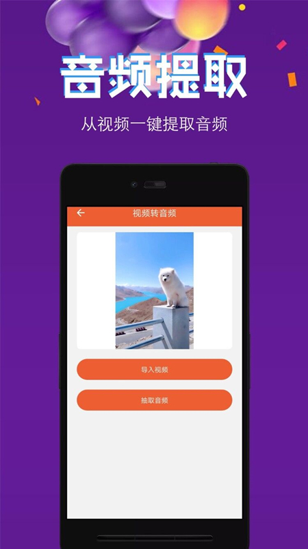 音频提取格式转换截图1