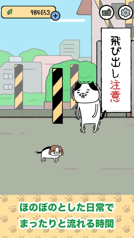 熊猫狗和猫截图1