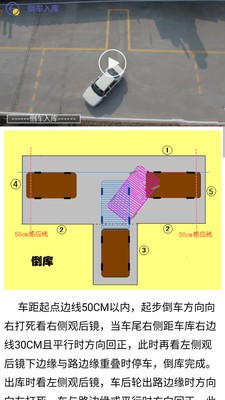 考个驾照截图3