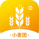 小麦团