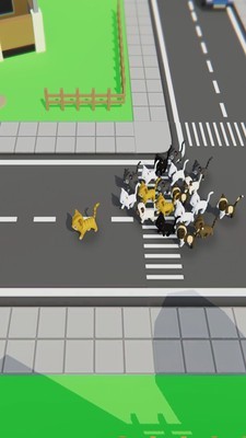 寻找猫咪截图2