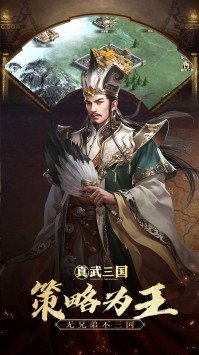 真武三国满V版截图2