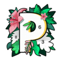 paintly分享版百度云