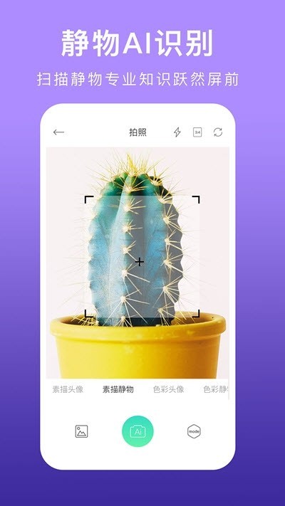 美术拍最新版截图1
