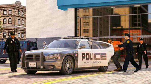 低模警察模拟器截图3