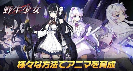 野生少女汉化版截图1