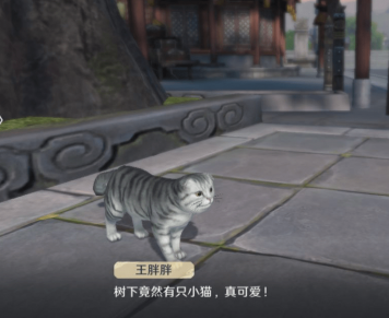 天涯明月刀猫之友奇遇任务怎么做
