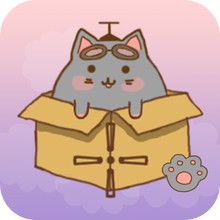 抓住流浪猫