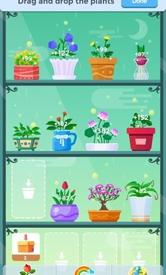 放置植物2