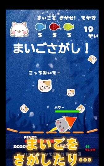 猫咪来袭2