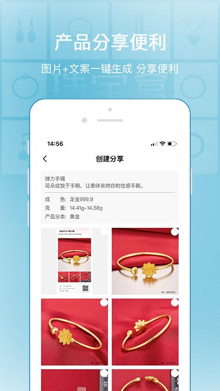 珠宝盒截图2