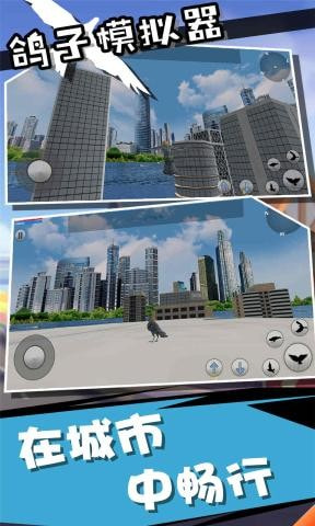 鸽子模拟器截图2