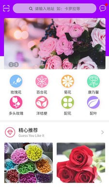 嘉佳花卉斗南鲜花批发截图1