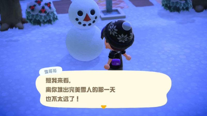 动森雪球刷新机制一览