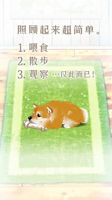 养育柴犬的治愈截图2