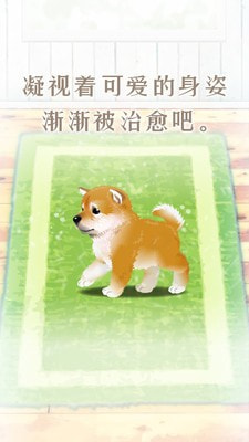 养育柴犬的治愈截图3