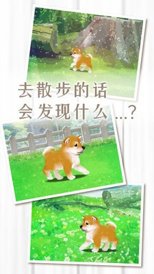 养育柴犬的治愈截图5