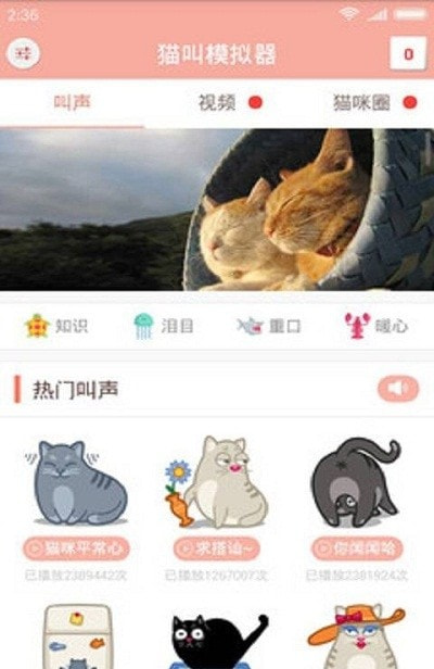 猫叫仿生器截图3