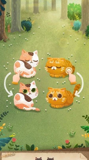 猫咪的秘密森林3