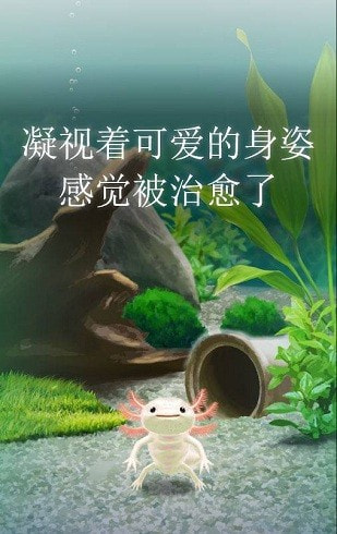 治愈的蝾螈育成2