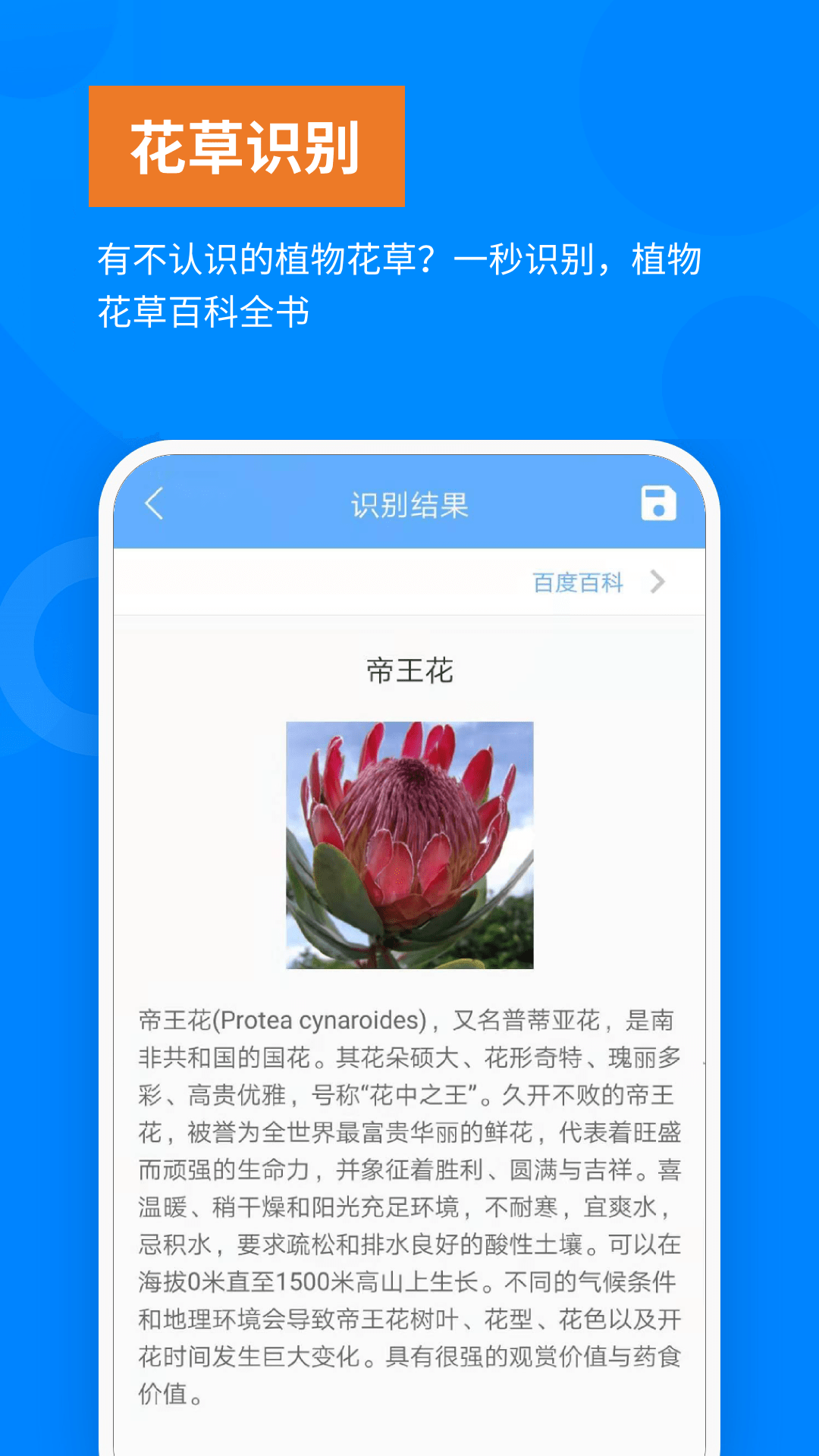 洋果扫描王文字识别截图4