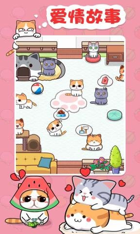 蓝星猫猫教3