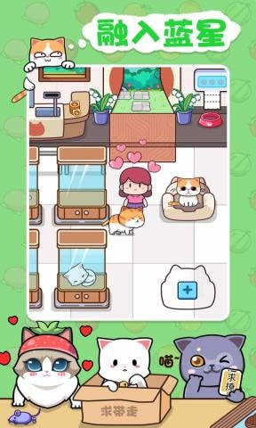 蓝星猫猫教2