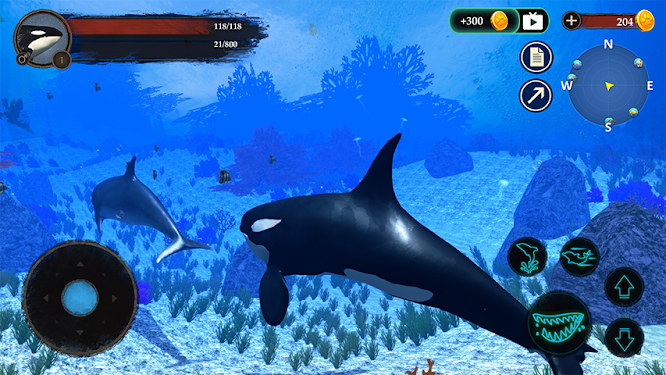 The Killer Whale截图3