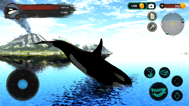 The Killer Whale截图1