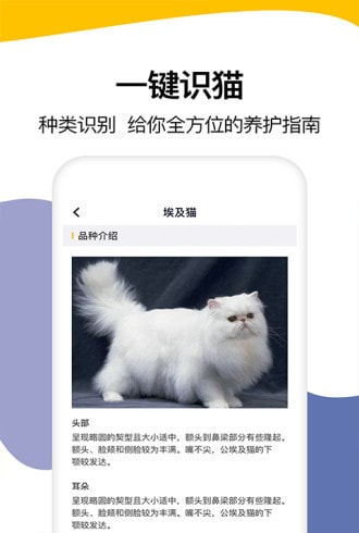 猫语翻译器截图4