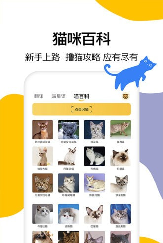 猫语翻译器截图3