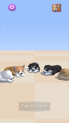 狗狗绳索解开截图5