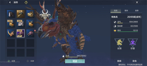 妄想山海伤害最高百年宠物推荐