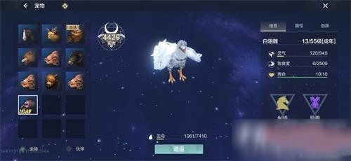 妄想山海白翎雕怎么飞