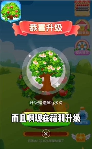 平安果园2