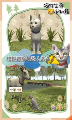 猫咪生存模拟器截图5