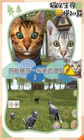 猫咪生存模拟器截图4