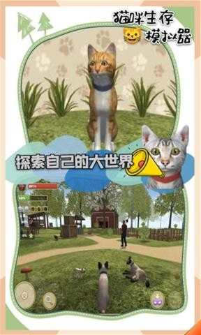 猫咪生存模拟器截图3