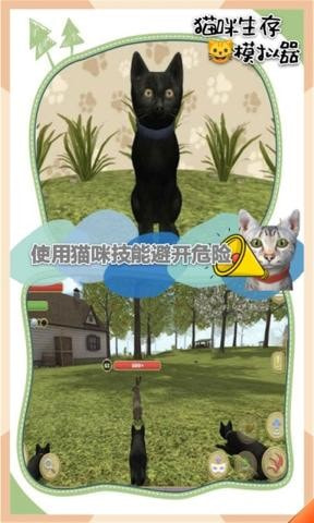 猫咪生存模拟器截图2