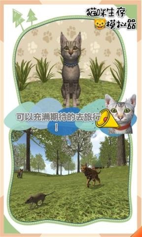 猫咪生存模拟器截图1