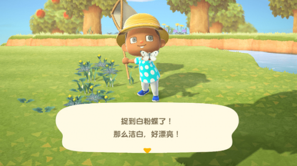 动物之森狂欢节没有捕虫网怎么办
