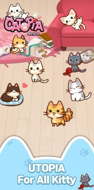 萌猫大本营3